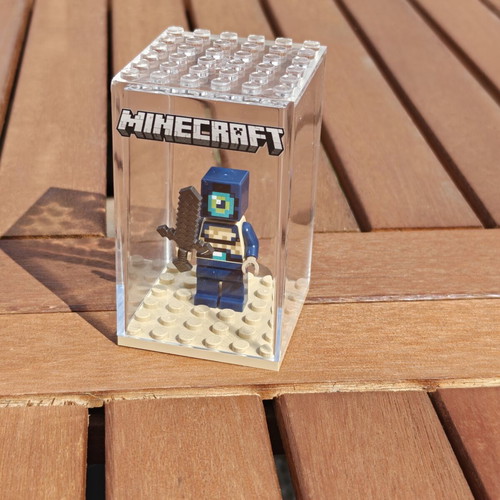 Minecraft LEGO minifigure in display box