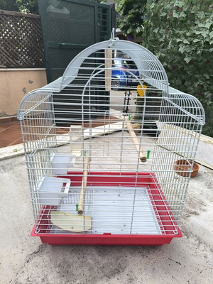 Metal birdcage like new with perches and feeders
