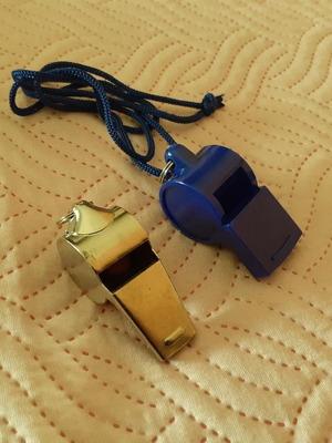 Metal and plastic whistles, set of two