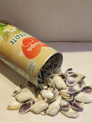 Seashells used, 420 g, washed, suitable for crafts and souvenirs