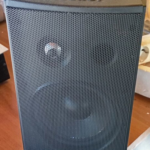 Microphone set used with woofer, mixer, Magnat speakers, DJ CD player