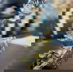  Διακοσμητικός Ελέφαντας Με Μπάλα 14x12x20cm Clear-Gold Inart