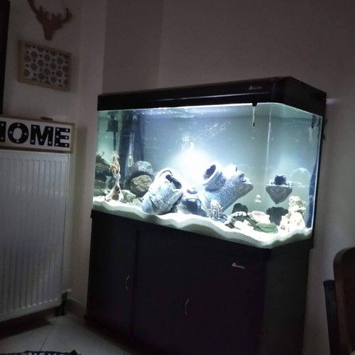 Aquarium 350 liters used with stand and accessories