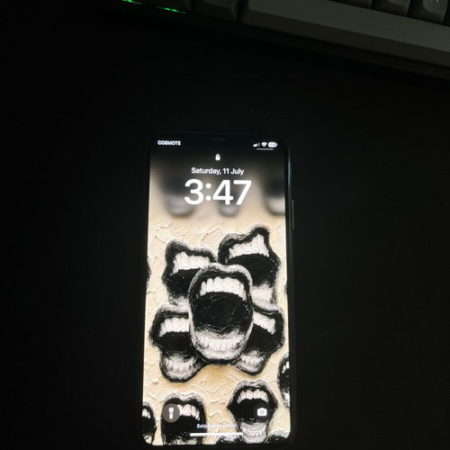 iPhone 11 Pro Max used, 100% battery health, 64GB, black, with 4 cases