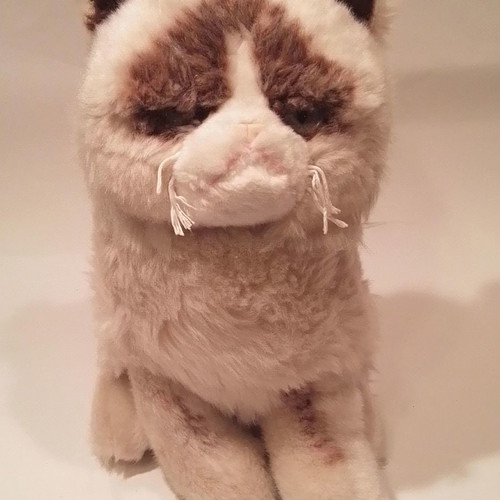 Grumpy Cat GUND plush cat used