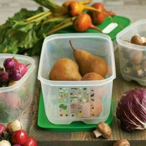 Smart cooling container set new 4.4 liters and 1.8 liters