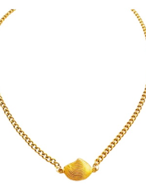 Κολιέ κοχύλι με ατσάλινη αλυσίδα καλοκαιρινό, χρυσό