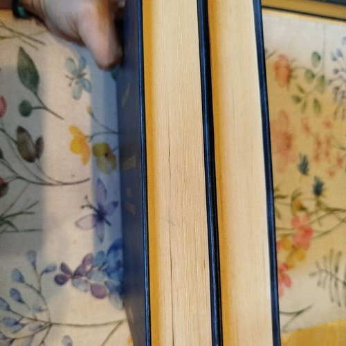The Bridge of Sighs 2 volumes like new, classic literature collection
