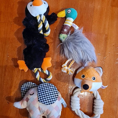 Pet toys new, pack of 40 pieces