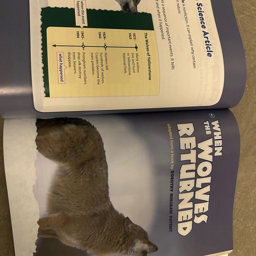 Reach Higher 3A Students Book like new