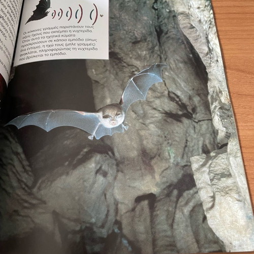 Caves Knowledge Stories Games new