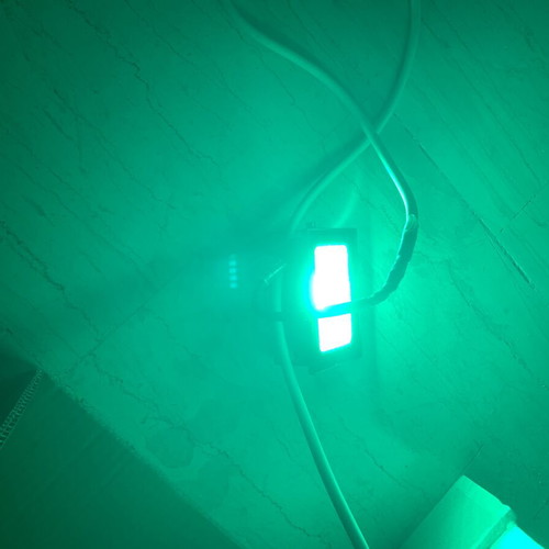 Led floodlight with green light and plug