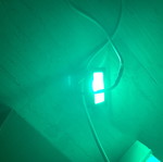 Led floodlight with green light and plug