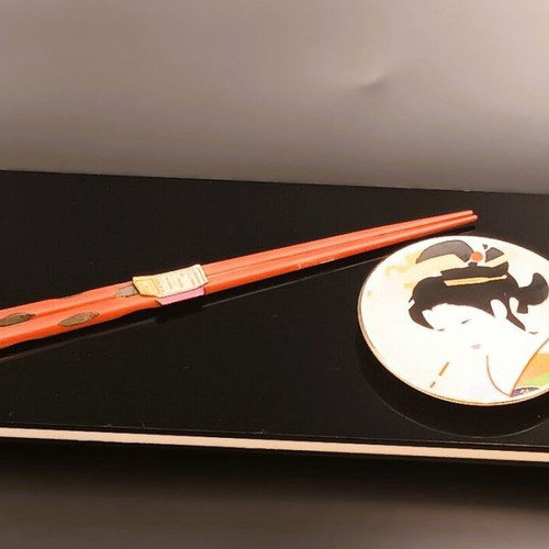 Designer Sushi Serving Tray from Plexiglas 12x28 cm new