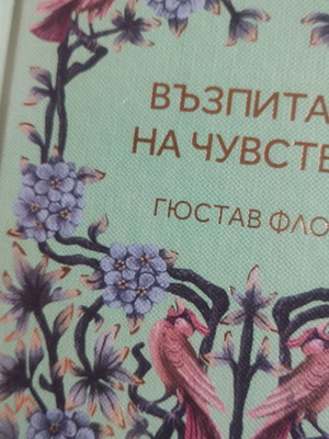 Education of the Feelings by Gustave Flaubert new