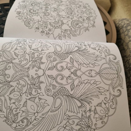 Secret Garden Coloring Book like new
