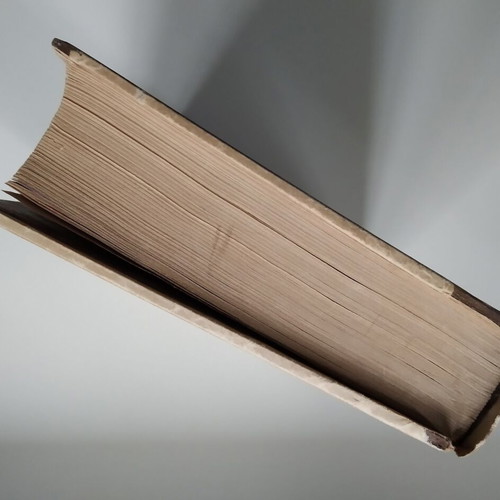 The Big Fisherman used book by Lloyd Douglas