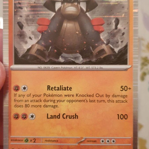 Fighting Holo Pokemon Cards new condition