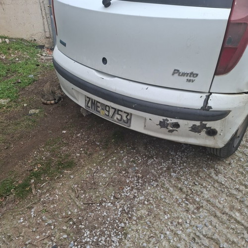 Fiat Punto used, gas, manual, white, new front wheels and shock absorbers