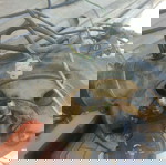  ΚΑΥΣΤΗΡΑΣ ΠΕΤΡΕΛΑΙΟΥ BALTUR ΜΕΤΑΧΕΙΡΙΣΜΕΝΟΣ