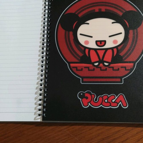 Set of 2 PUCA spiral notebooks with glossy cover and elastic band new