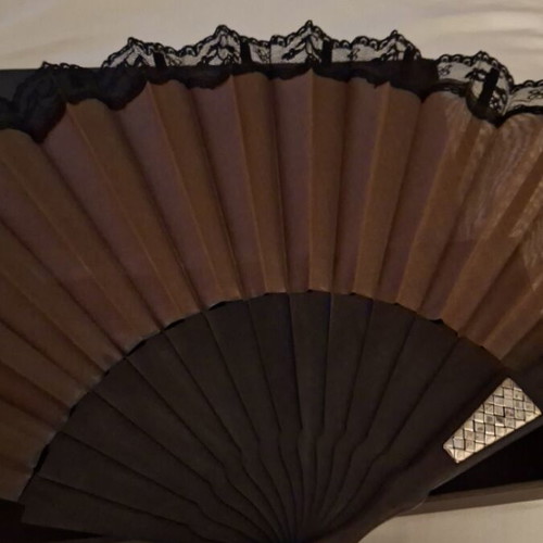 Bottega Veneta large fan with black lace and leather case