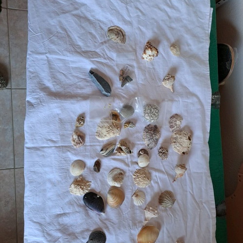 Sea rocks used, all together