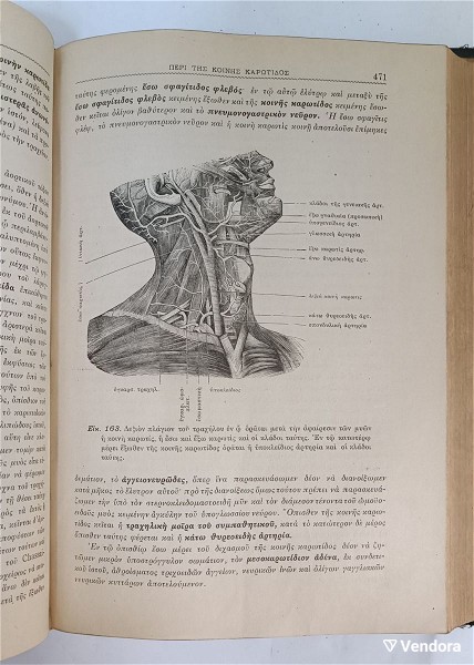  anatomiki tou anthropou 1914