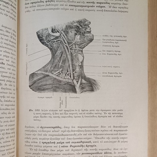 Anatomy of Man used, 1914, by N.P. Michalakeas
