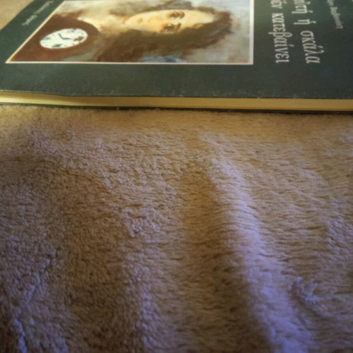 Book "Afti I Skala Den Katevainei" by Maro Vamvounaki used