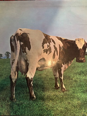 PINK FLOYD ΓΕΡΜΑΝΙΚΗ HORZU ISSUE 2 ISSUE