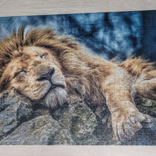 Trefl Sleeping Lion Puzzle 1000 pieces like new