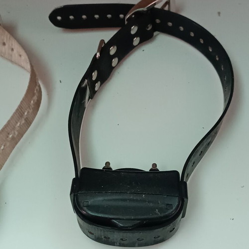 Electric dog training collars used, pack of 2 with remote and charger