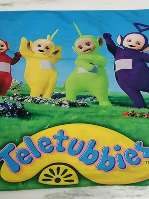Teletubbies decorative pillowcase 45x45 cm new