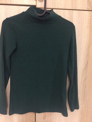 Green pullover