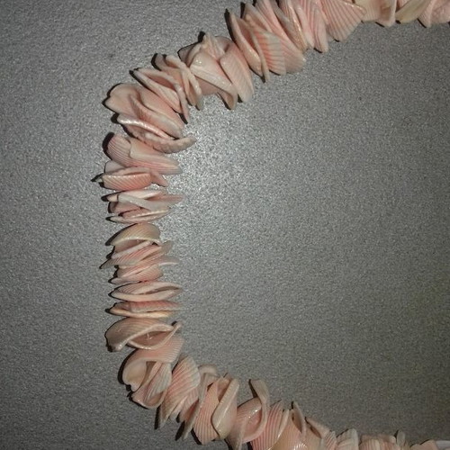 Necklace made of natural shells new, pink and orange