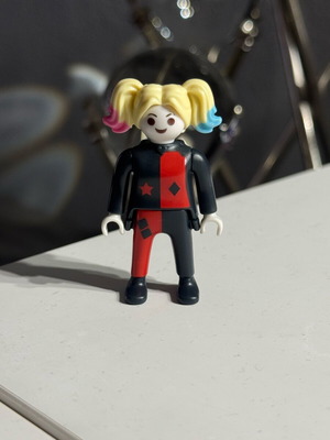 Playmobil in excellent condition