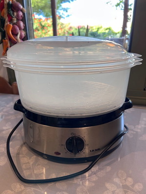 Vicko steamer like new