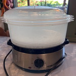 Vicko steamer like new
