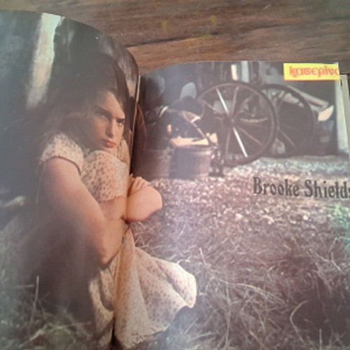 Katerina volumes used, issues 65-68, 1981