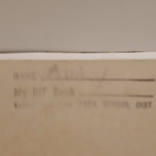 Βιβλίο The Boy on a Black Horse της Nancy Springer 1994