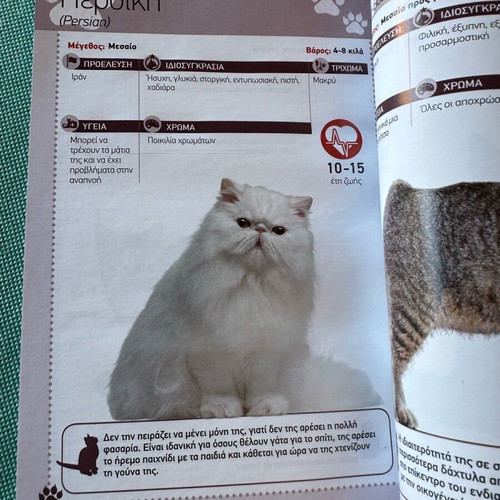 Gata book like new about 54 cat breeds