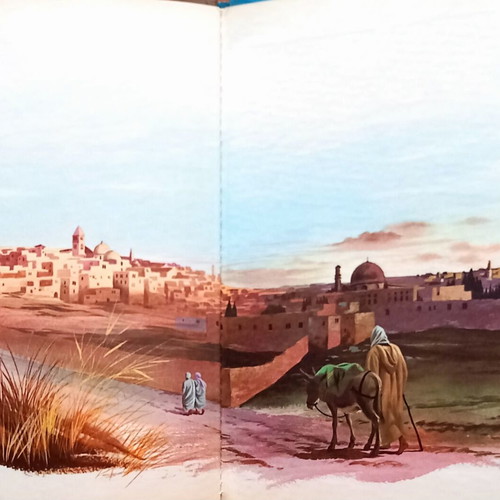 The Promised Land children's book new