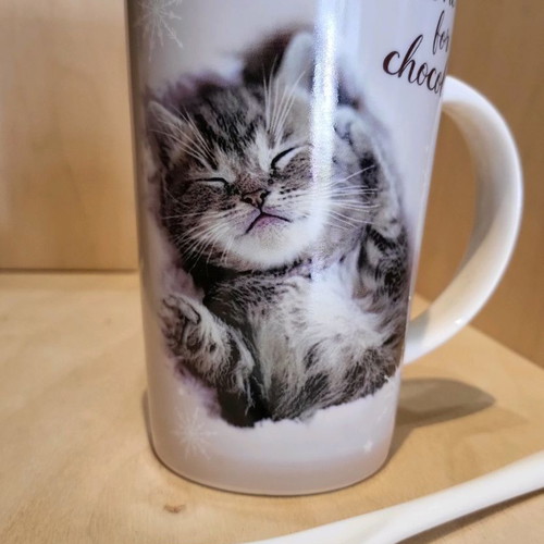Otter House mug with kitten new