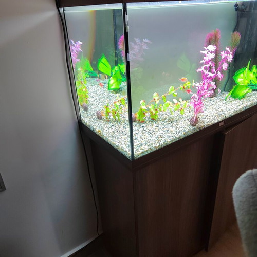 Juwel Rio 125 LED Aquarium set like new with cabinet and extras