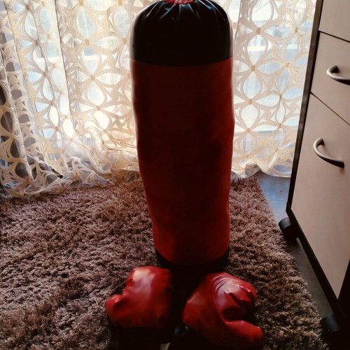 Boxing bag and gloves for kids like new