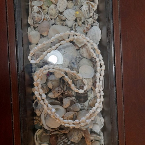 Shell necklace long new handmade