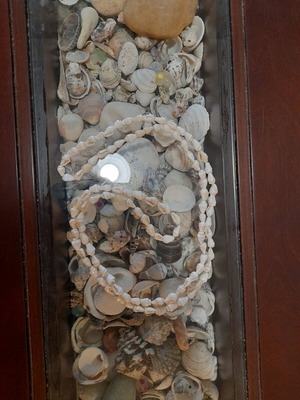 Shell necklace long new handmade