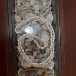 Shell necklace long new handmade