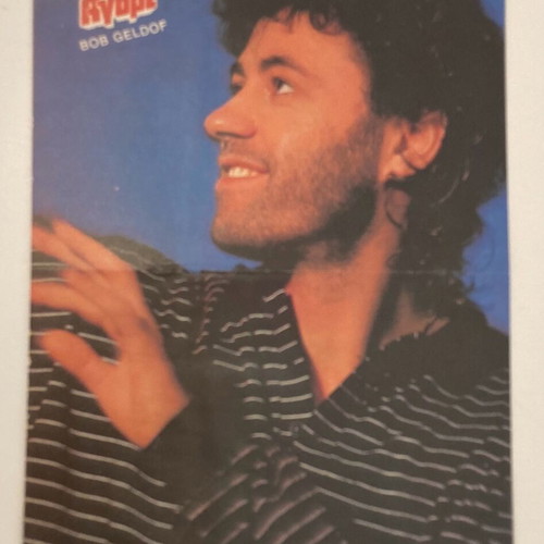 Bob Geldof - Beastie Boys Insert Poster from magazine Boy In good condition Price 4 Euros